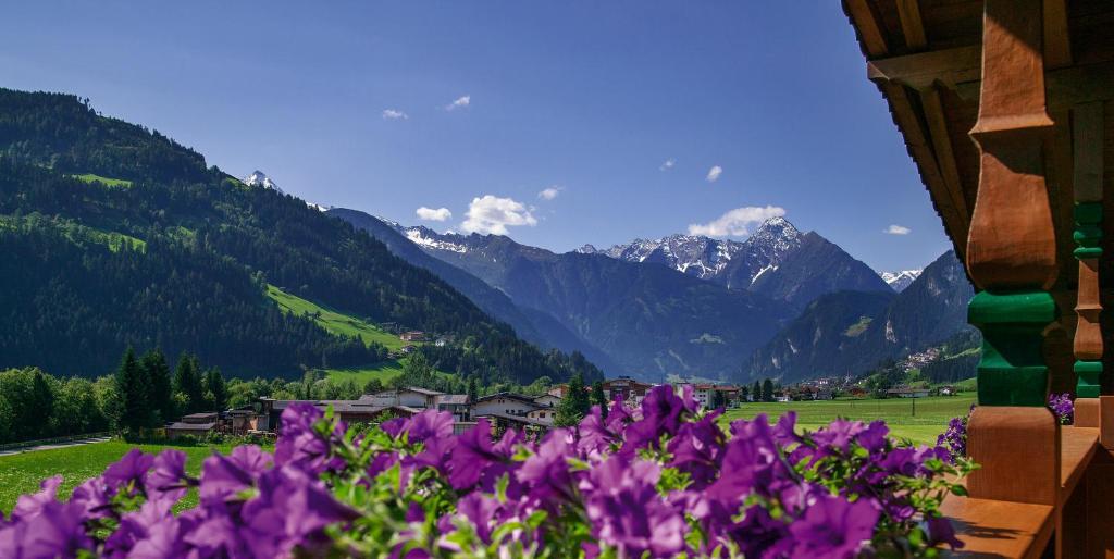 Villa Haidacher Relax & Lifestyle Apartments Zell am Ziller Cameră foto